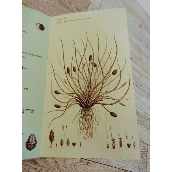 Handmade Flower Pages Annual Tree Ring Journal Diary Notebook Hardcover NICE - Picture 5 of 16